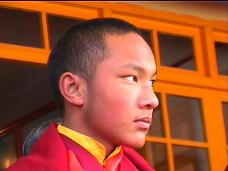 His Holiness the Karmapa